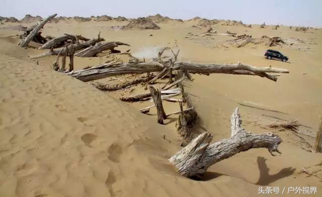 推荐一条绝美自驾徒步路线,徒步最美又最安全的旅游路线