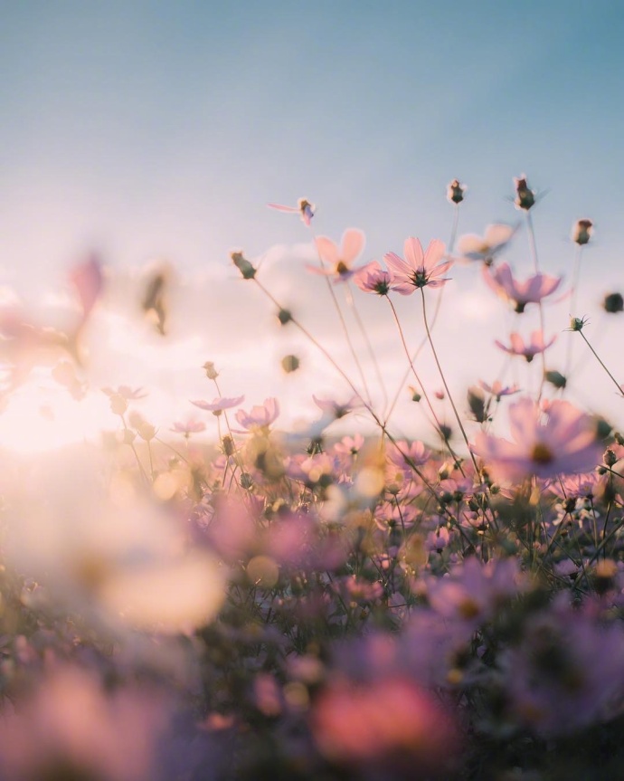 情感咨询｜栗子姐每日情感问答（0306）