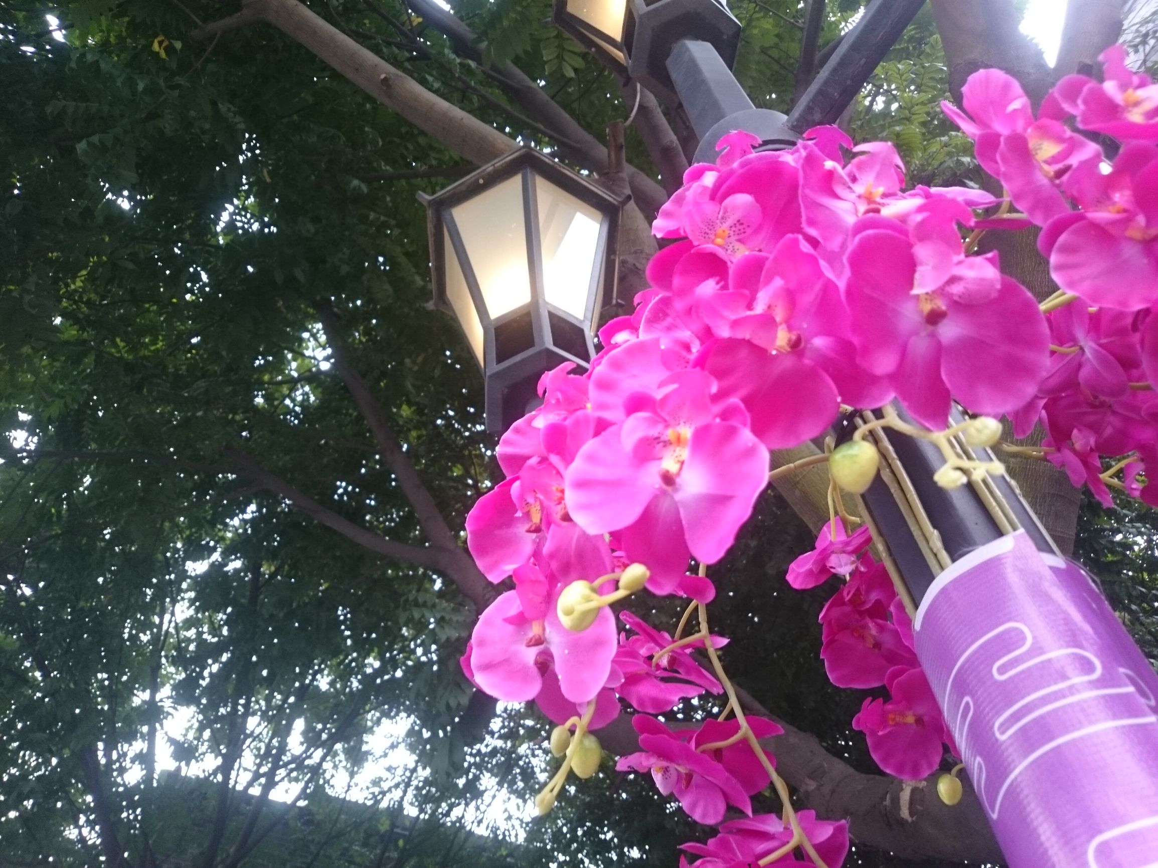 索尼xperiaz1升级安卓,xperiaz1更新