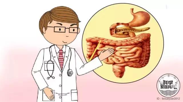 用错药关注事项,驱虫药用错了怎么办