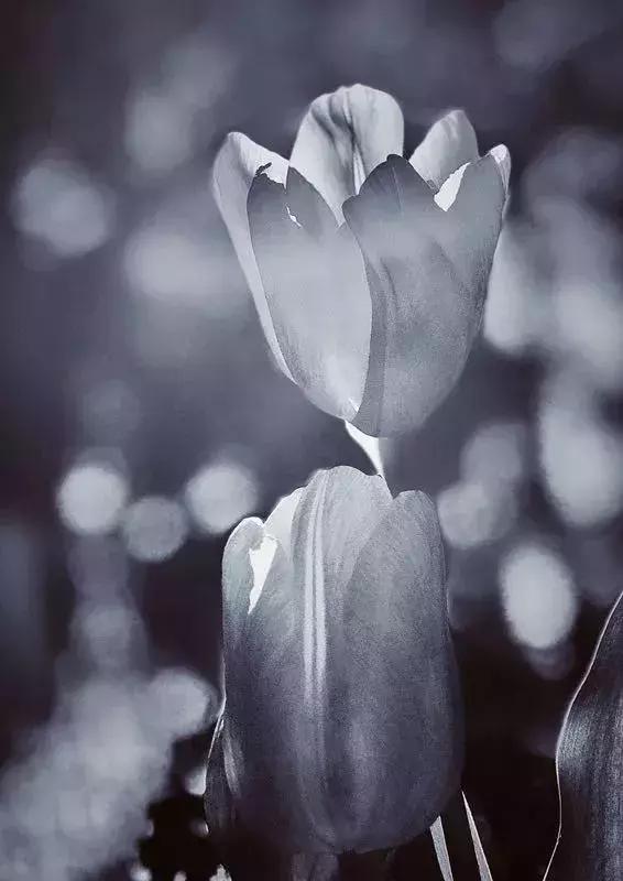 手机拍出的大片摄影作品,手机人像摄影作品欣赏大全集