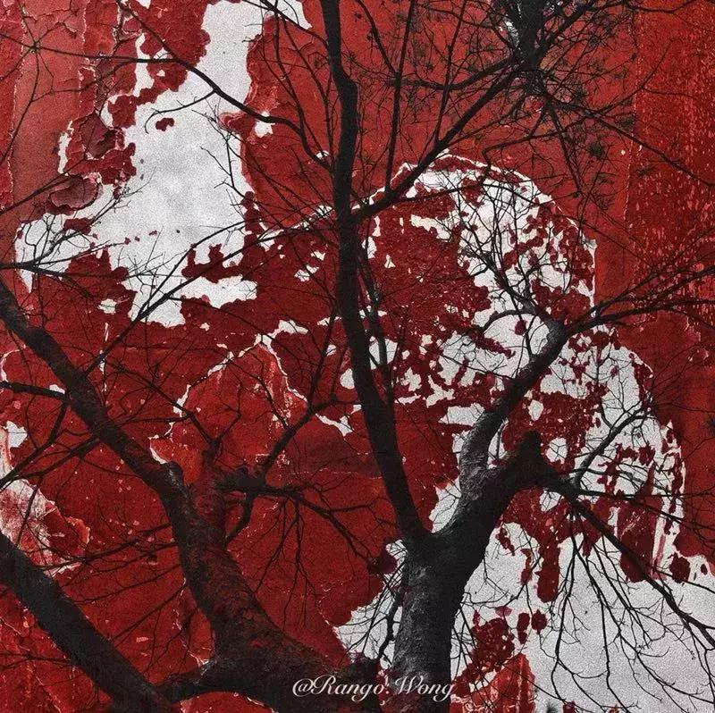 手机拍出的大片摄影作品,手机人像摄影作品欣赏大全集