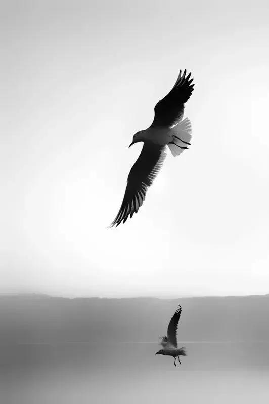 手机拍出的大片摄影作品,手机人像摄影作品欣赏大全集