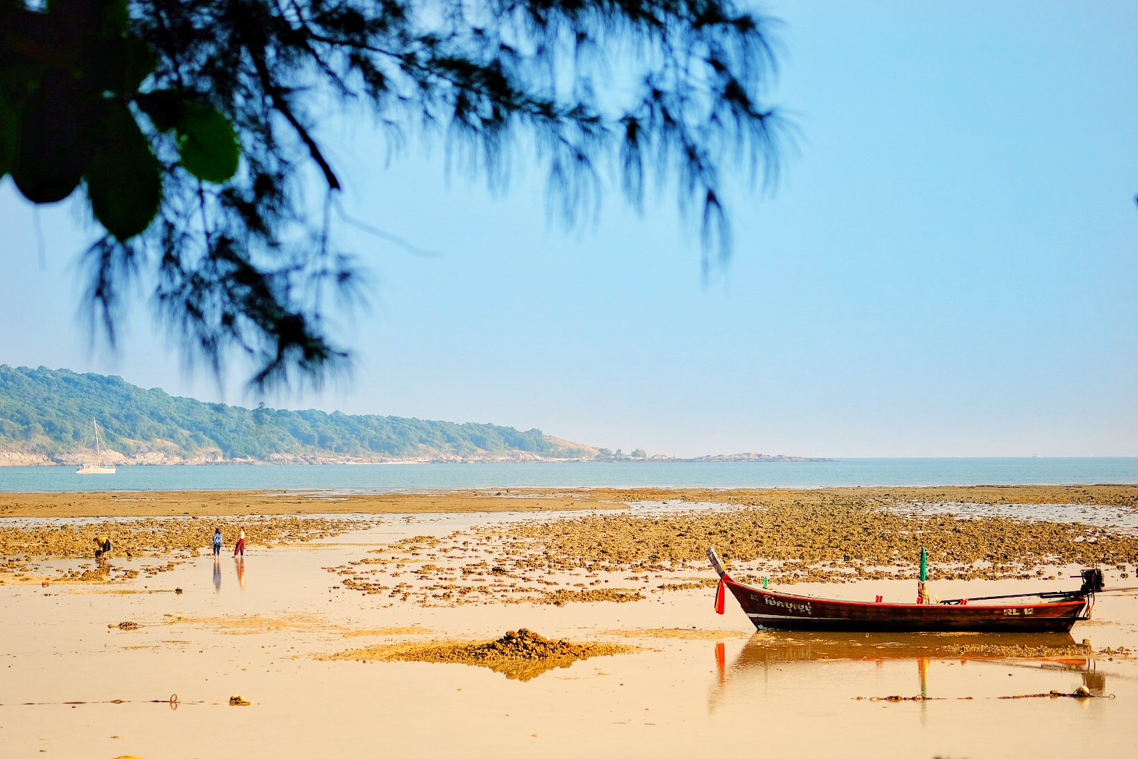 泰拳是练什么的,泰拳一般是练什么