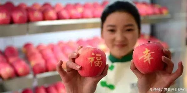 干货农产品直播带货排名前十名,直播农产品选品的方法和技巧