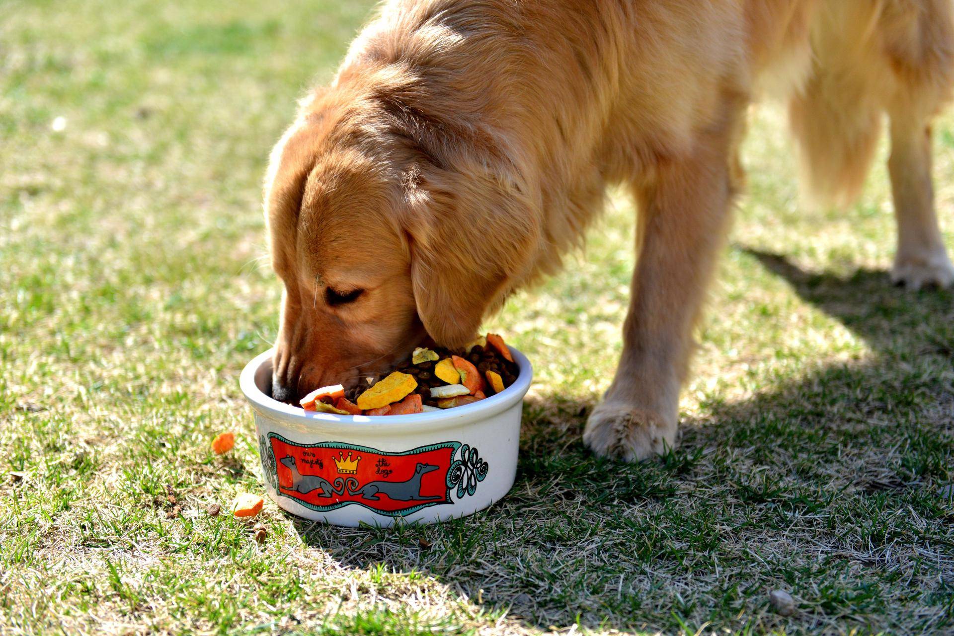 他是中国前首富，20岁前没穿过鞋，开公司36年如今业绩破千亿