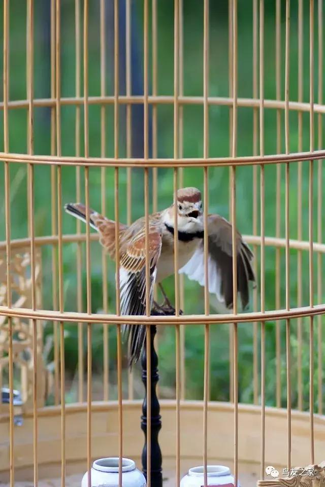 爆文故事视频,爆文完整视频