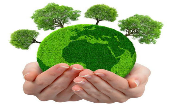 珍爱生命从保护自然环境做起