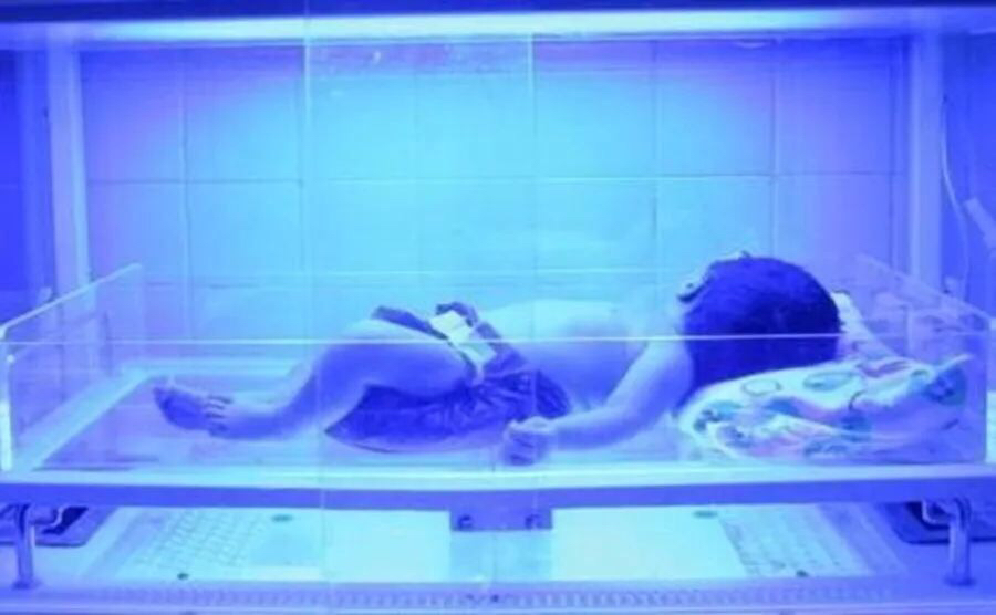 新生儿黄疸能吃茵栀黄配益生菌吗,新生儿黄疸能吃茵栀黄配益生菌