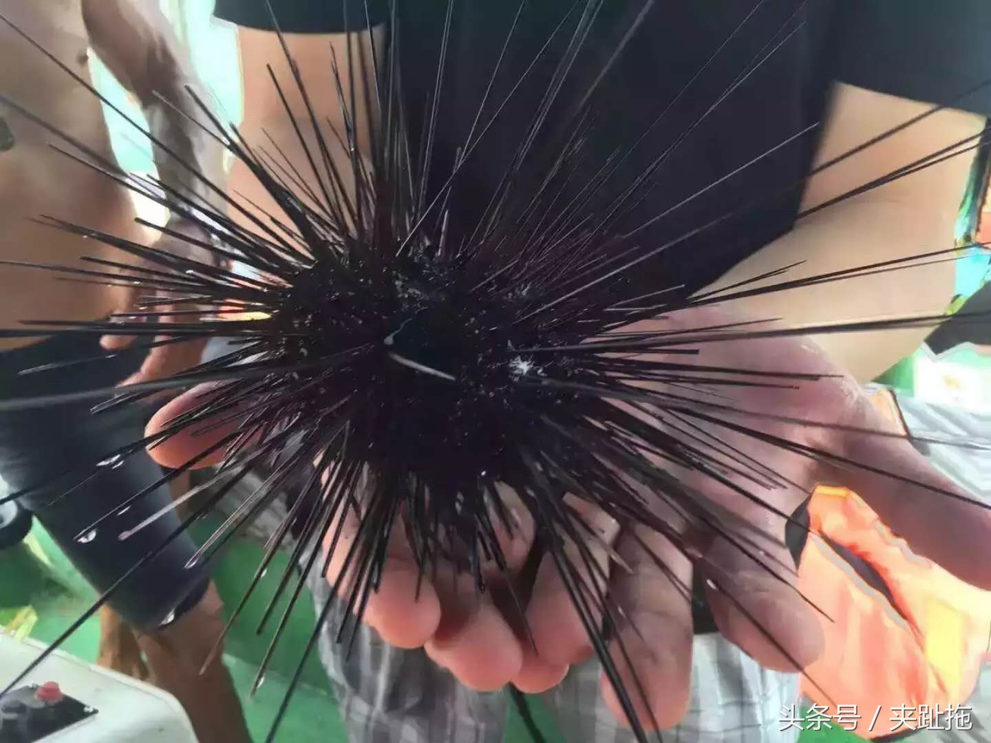 马来西亚魅力所在，告诉你马来西亚海岛如何选择攻略-西马海岛篇