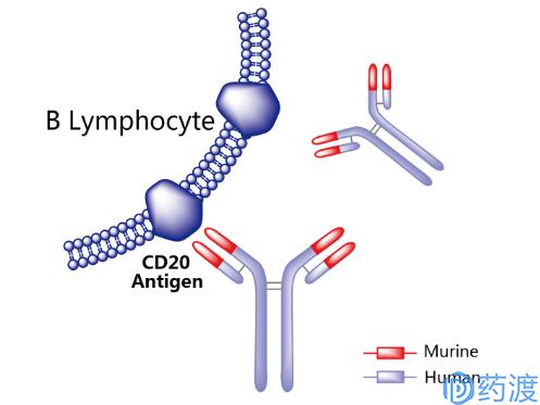 20款抗癌药物,未来十年最好的肿瘤药