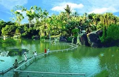 北京到厦门鼓浪屿旅游攻略,厦门鼓浪屿攻略游戏