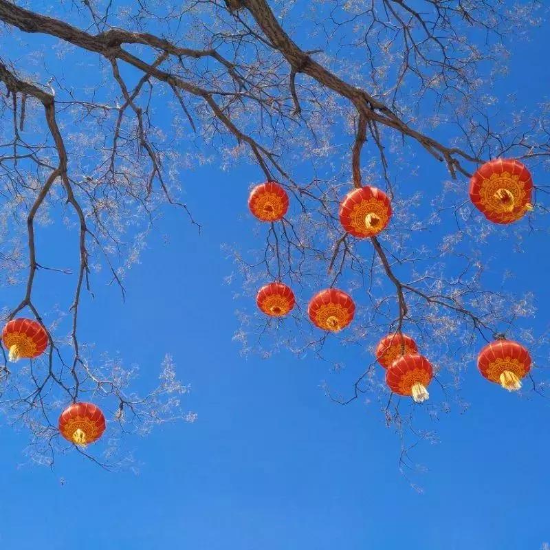 手机拍出的大片摄影作品,手机人像摄影作品欣赏大全集