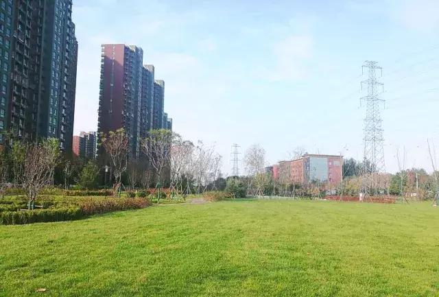 海淀后花园,海淀一层带花园的小区