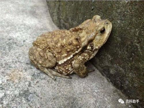 培养孩子好的行为习惯,培养孩子做事有效率的好习惯