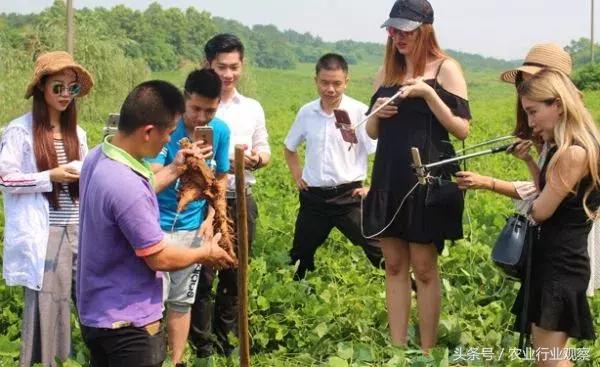 干货农产品直播带货排名前十名,直播农产品选品的方法和技巧