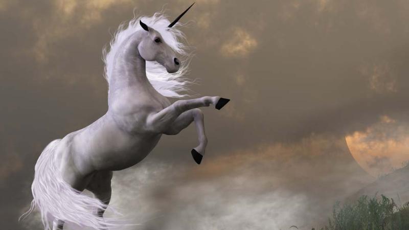 富士康引领独角兽上市潮流，小米滴滴有望加速，这家最值得期待