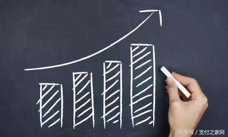 做支付的公司是怎么赚钱的,做支付宝服务商挣钱吗