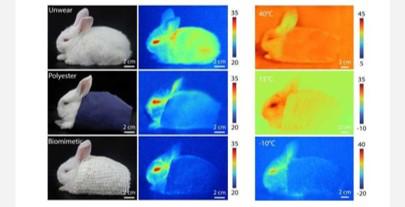 浙大发明的北极熊毛衣多少钱,黑科技仿生羽绒材料