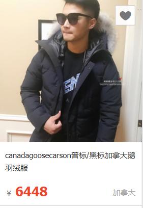 浙大发明的北极熊毛衣多少钱,黑科技仿生羽绒材料