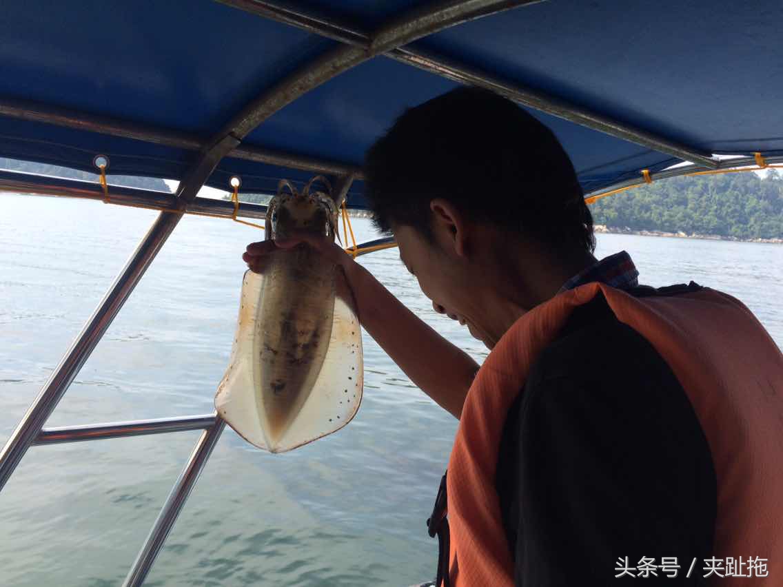 马来西亚魅力所在，告诉你马来西亚海岛如何选择攻略-西马海岛篇