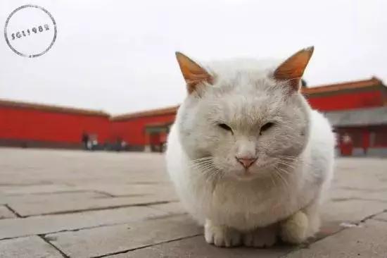 鏁呭18鍙尗,鏁呭鍚哥尗181鍙尗