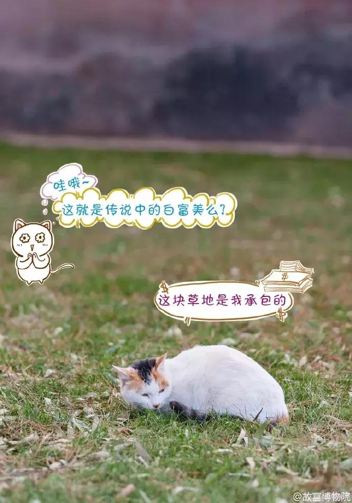 鏁呭18鍙尗,鏁呭鍚哥尗181鍙尗