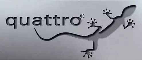 车尾贴一个壁虎是什么意思,车尾贴壁虎是什么梗