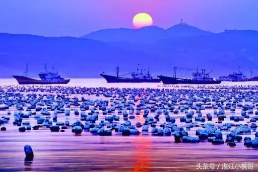 湛江适合养老的景点,湛江十大最适合居住的城市