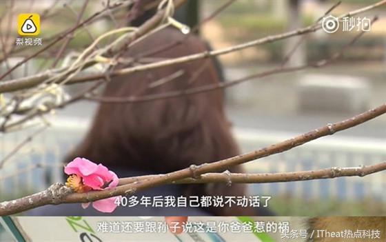 苹果防止小孩乱按密码锁机,苹果手机让小孩弄得锁机了怎么办