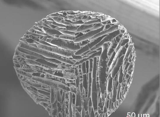 浙大发明的北极熊毛衣多少钱,黑科技仿生羽绒材料
