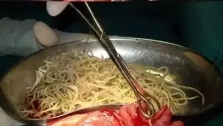 用错药关注事项,驱虫药用错了怎么办