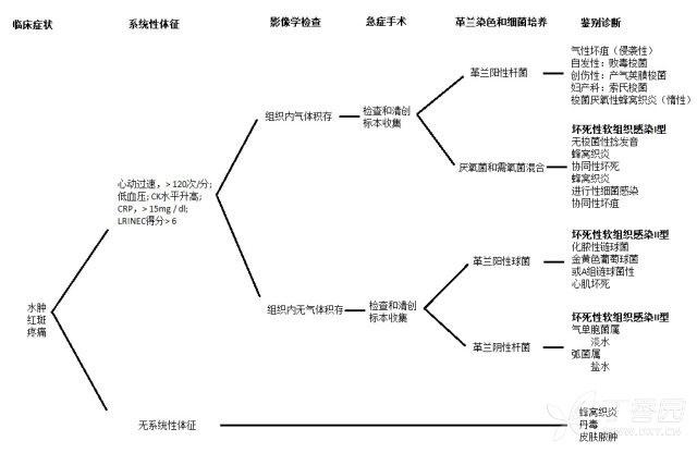 坏死性筋膜炎病例分享,坏死性筋膜炎个案护理ppt
