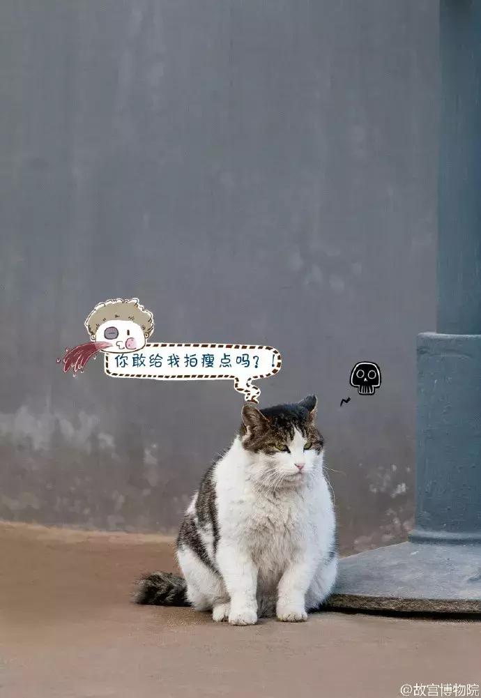 鏁呭18鍙尗,鏁呭鍚哥尗181鍙尗