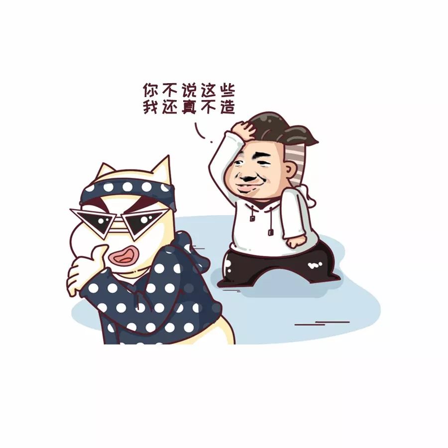 斯柯达是个什么牌子,斯柯达柯米克音响是什么品牌