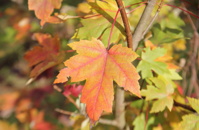 领导对你很防备,领导对你有这三个前兆