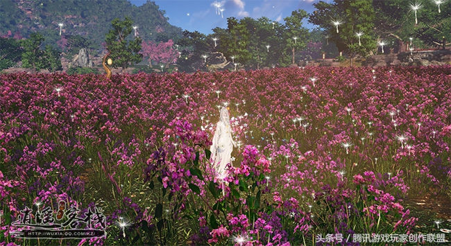 春暖花开赏花时五彩缤纷,春暖花开时繁花向阳开