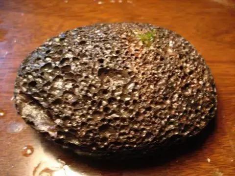 垂泪莫斯和三角莫斯火焰莫斯,莫斯水草球做法