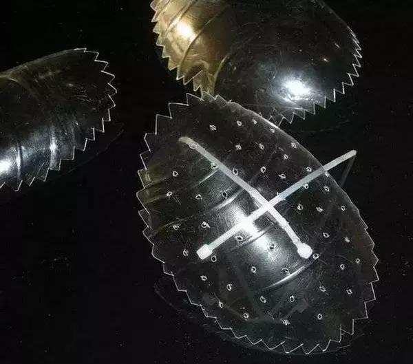 垂泪莫斯和三角莫斯火焰莫斯,莫斯水草球做法