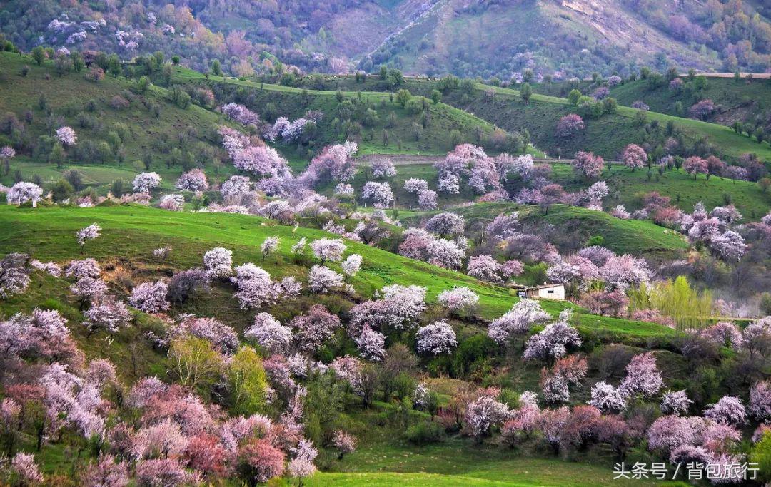 最适合和闺蜜一起去的国家,适合闺蜜去旅行的地方推荐