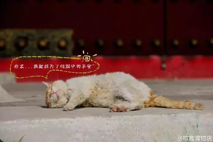 鏁呭18鍙尗,鏁呭鍚哥尗181鍙尗