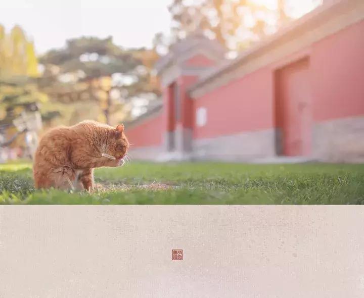 鏁呭18鍙尗,鏁呭鍚哥尗181鍙尗