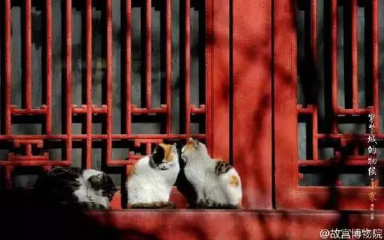 鏁呭18鍙尗,鏁呭鍚哥尗181鍙尗