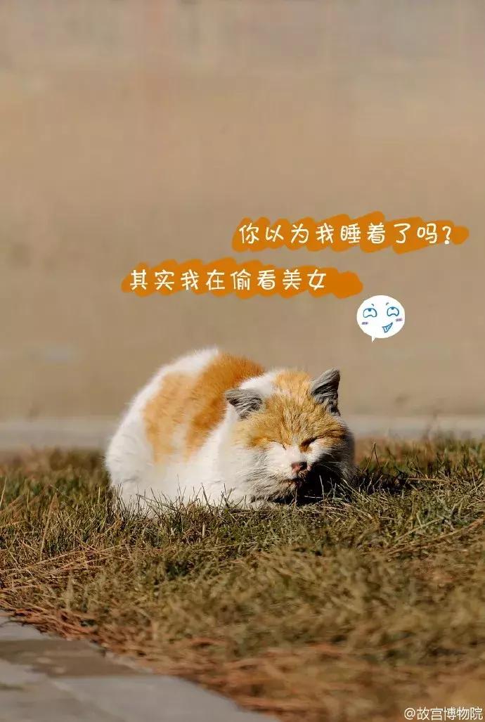 鏁呭18鍙尗,鏁呭鍚哥尗181鍙尗