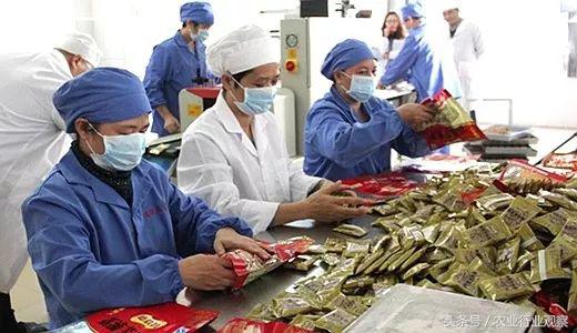 农产品加工的发展趋势,分析农业行业的成功案例