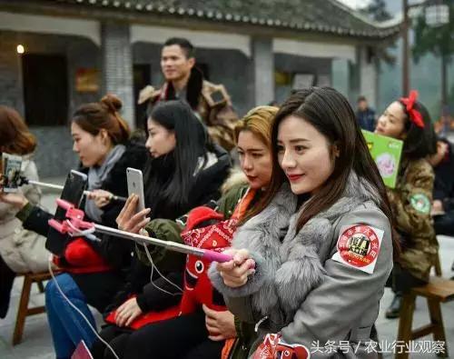 干货农产品直播带货排名前十名,直播农产品选品的方法和技巧