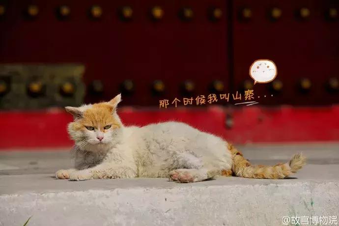 鏁呭18鍙尗,鏁呭鍚哥尗181鍙尗