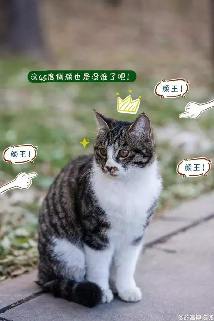 鏁呭18鍙尗,鏁呭鍚哥尗181鍙尗