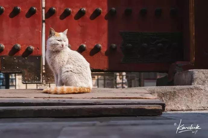 鏁呭18鍙尗,鏁呭鍚哥尗181鍙尗