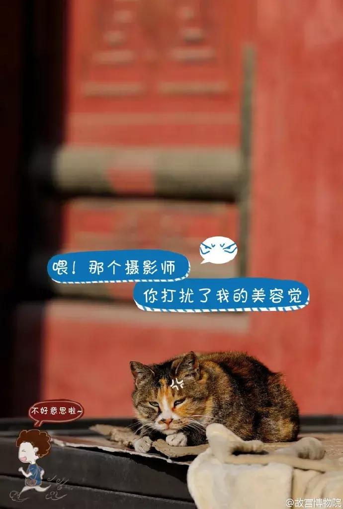 鏁呭18鍙尗,鏁呭鍚哥尗181鍙尗